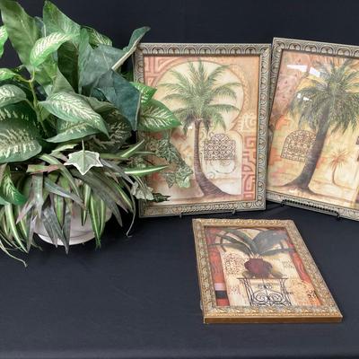Plants And Pictures