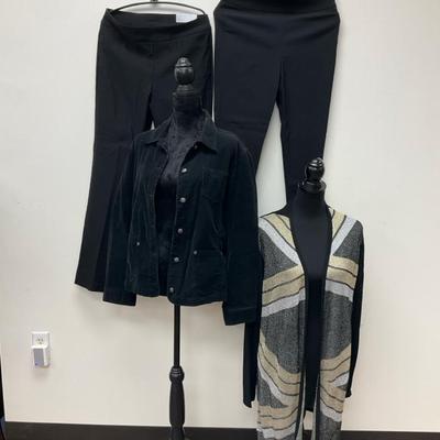 The Chicos Collection 