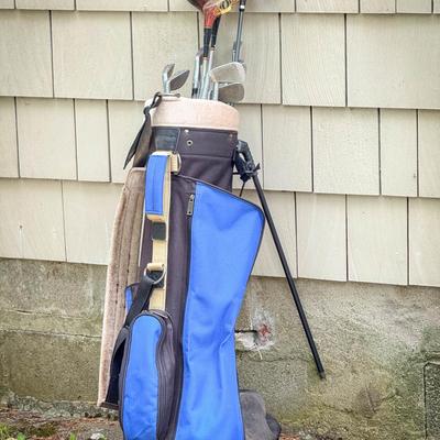 Gold Caddy & Wilson Club Set
