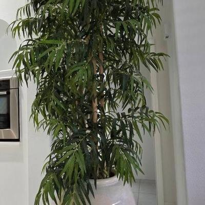 7ft Tall Bamboo
