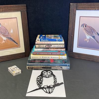 Raptor Assortment (13)