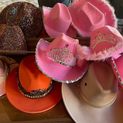 Assorted Collection of Western and Fedora-Style Hats in Various Materials