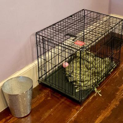 Kennel