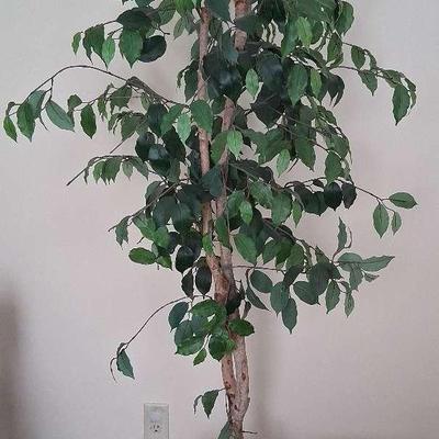 Faux Indoor Ficus Plant