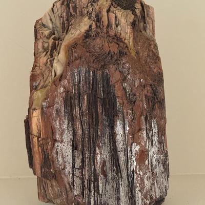 Tall Stump Of Petrified Wood 