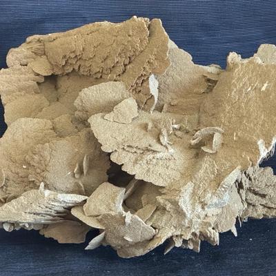 Desert Rose or Sand Selenite Gypsum Cluster 