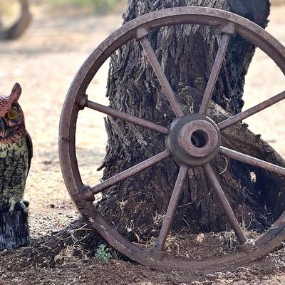 Wagon Wheel