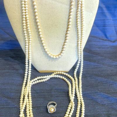 Pearl Of Great Price 