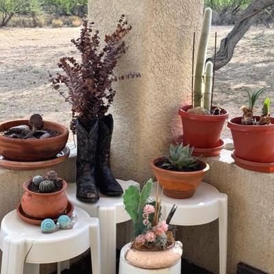 Five Plants And Some Big Boots 