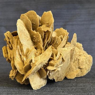 Small Cluster Of Desert Rose Or Gypsum 