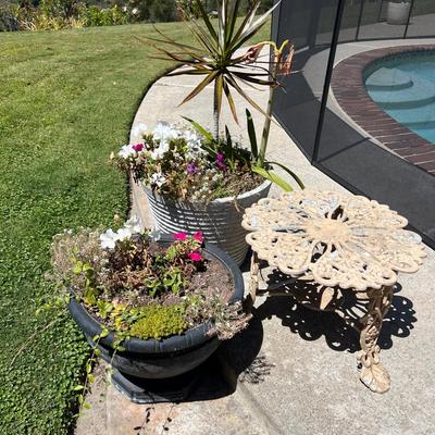Backyard Decor - Potted Lands And Large Garden Arch