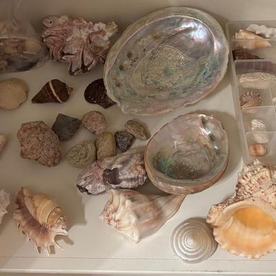 Nature’s Treasures