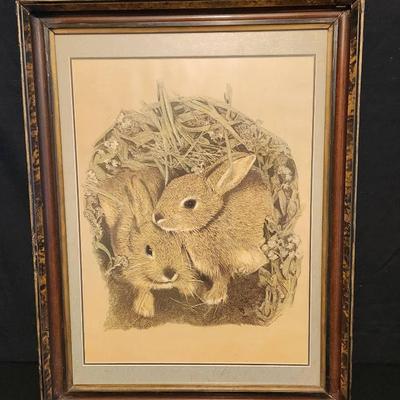 Rabbits In The Grass