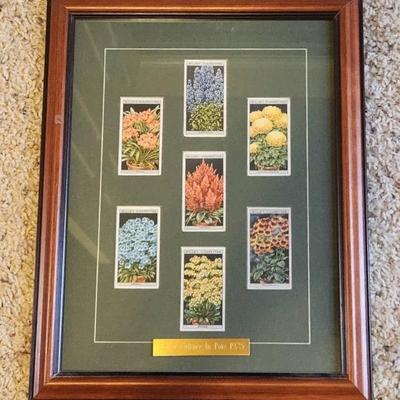 Flower Culture Cigarette Cards 