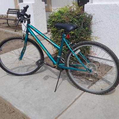 Roadmaster 15 Speed Metal Bicycle