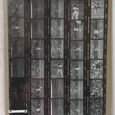 Photo Sheet #11