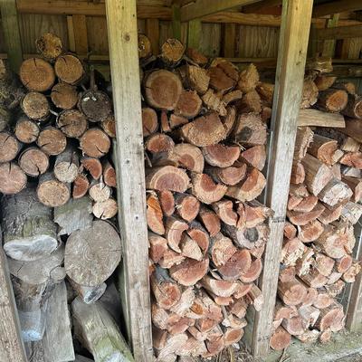 Dry Firewood: About a Cord and a Half