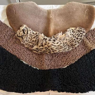 Vintage Women’s Collar Accessories