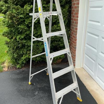 Werner 6 Ft Ladder 