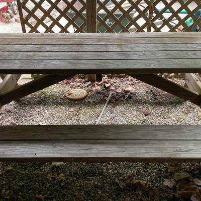 Picnic Table