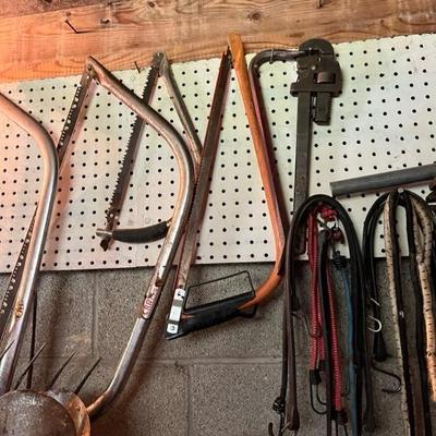 limb saws