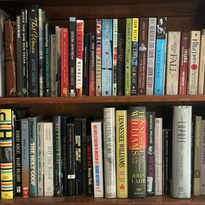 Modern Fiction Books