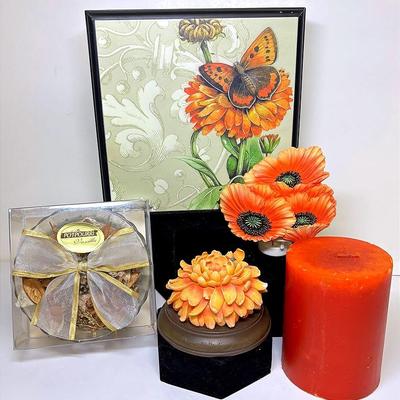 “Natures Journey” Gift Assortment 
