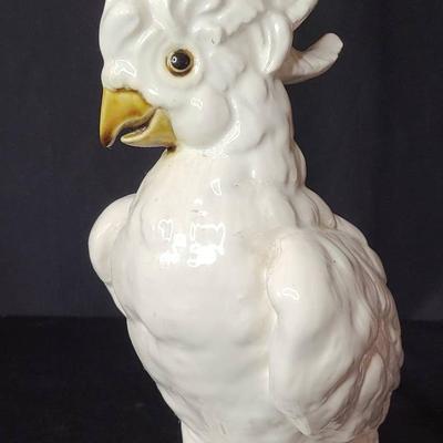 Kay Finch Cockatoo