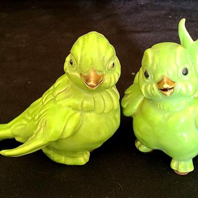 Birdie Bop Duo – Rockin’ in the Treetop By Kay Finch