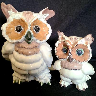 The Night Shift – Wide-Eyed Owl Buddies on Full-Time Watch By Kay Finch