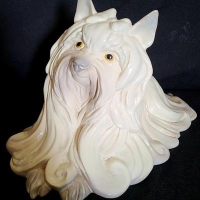 Kay Finch Yorkshire Terrier - The Canine Queen of Curls and Class
