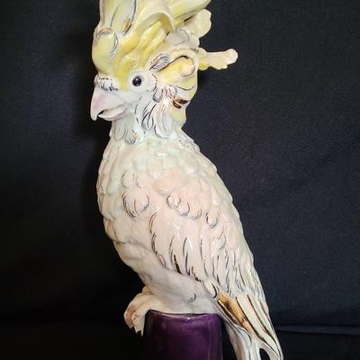 The Viscount of Volume: Feathered Flair Cockatoo with an Attitude to Match by Kay Finch