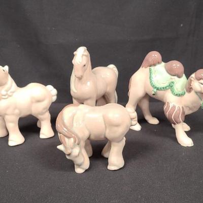 Kay Finch Hooves & Humps