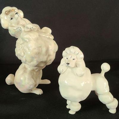 Poodle Parade – Two Posers Ready to Play by Kay Finch