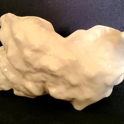 Kf* Seasshell 