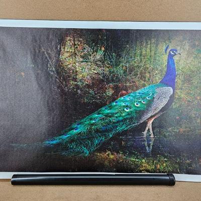 Sale Photo Thumbnail #209