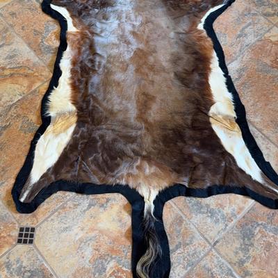 Exotic Pelt - sewn on black felt - Lot 2