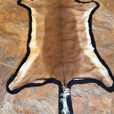 Impala Pelt- sewn on black felt - Lot 1