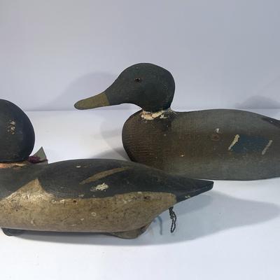 Vintage Wood Duck Decoys 