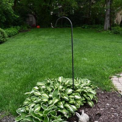 930 back yard