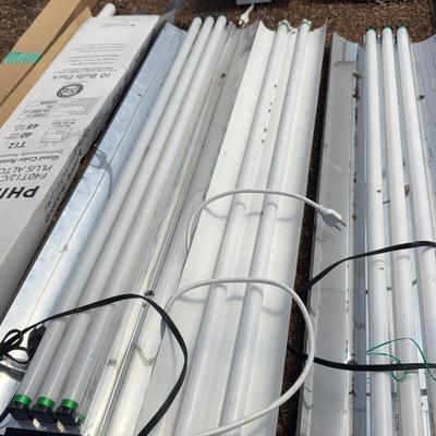 Fluorescent Lights