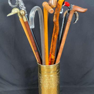 Set of 11 Walking Canes with Cane Holder