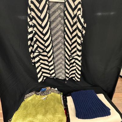 Lot 223: Women’s Fancy Tops, Sweaters& Accessories 