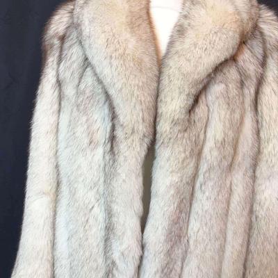 AT213 Bill Robinson Fur