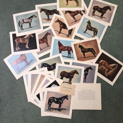The Color of Horses by Darol Dickson