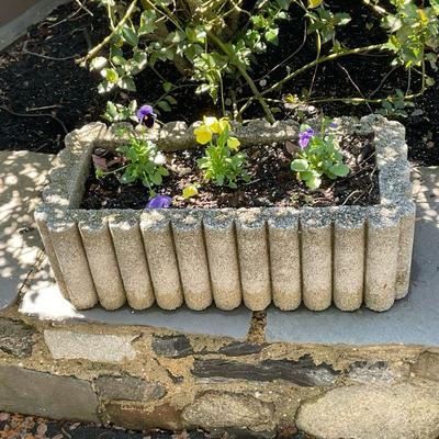 Concrete Planter #3 | Large concrete rectangular-shaped outdoor planter with scalloped edges. Plants included. - h. 7.5 x w. 12 x l. 24 in

