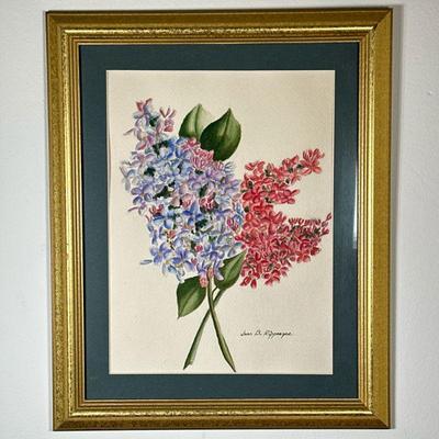 Joan B. Ripperger (American, 1923-) Watercolor - Lilacs | Floral painting of two bundles of lilac flowers Watercolor on canvas Framed...