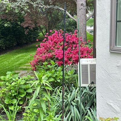 Wrought Iron Shepherd's Hook Plant Stand | Wrought iron shepherd's hook plant stand/hanger with ornate details. - h. 70 x w. 20...