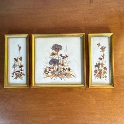 (3pc) Dried Pressed Flowers in Gold Frames | Set of three (3) vintage dried, pressed flowers in gold frames. Smallest two: h. 7.25 x w. 3...