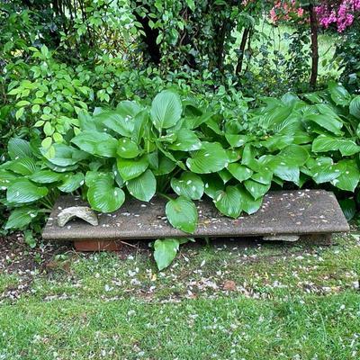 Stone Garden Decor - Bench Topper | Outdoor stone garden decor, fashioned from the top seat of a stone bench. - h. 7 x w. 14 x l. 48 in
